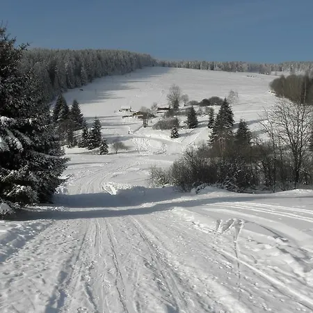 Vozzyk *